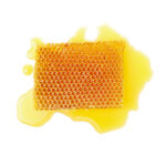 Fresh honeycomb piece isolated on white background
